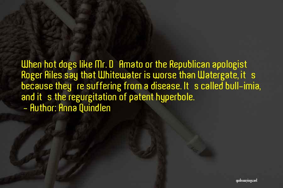 Anna Quindlen Quotes: When Hot Dogs Like Mr. D'amato Or The Republican Apologist Roger Ailes Say That Whitewater Is Worse Than Watergate, It's