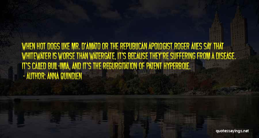 Anna Quindlen Quotes: When Hot Dogs Like Mr. D'amato Or The Republican Apologist Roger Ailes Say That Whitewater Is Worse Than Watergate, It's