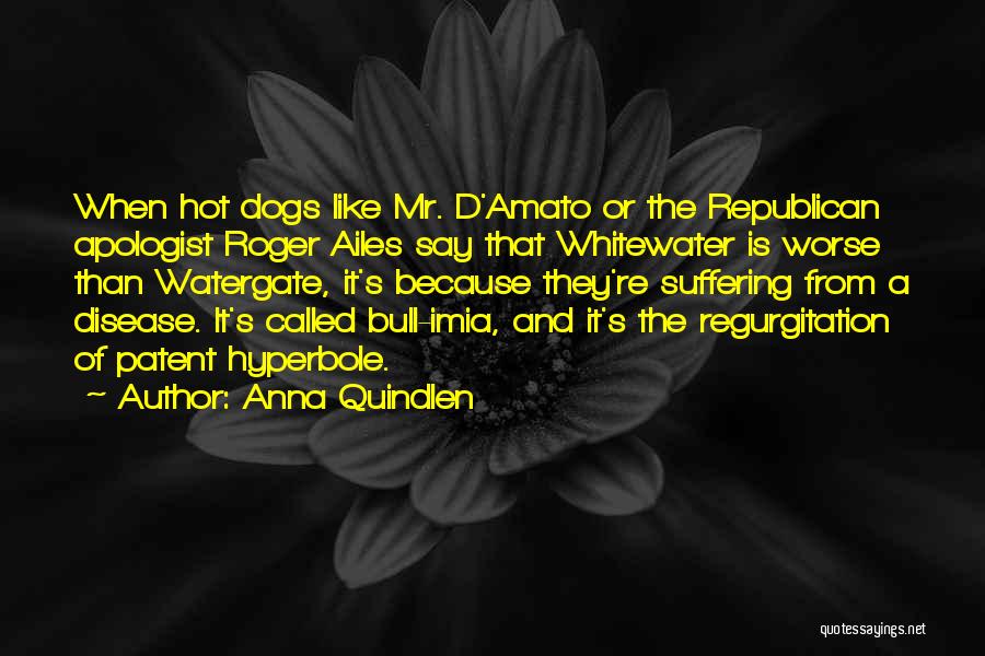 Anna Quindlen Quotes: When Hot Dogs Like Mr. D'amato Or The Republican Apologist Roger Ailes Say That Whitewater Is Worse Than Watergate, It's