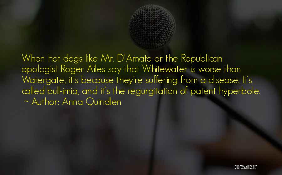 Anna Quindlen Quotes: When Hot Dogs Like Mr. D'amato Or The Republican Apologist Roger Ailes Say That Whitewater Is Worse Than Watergate, It's