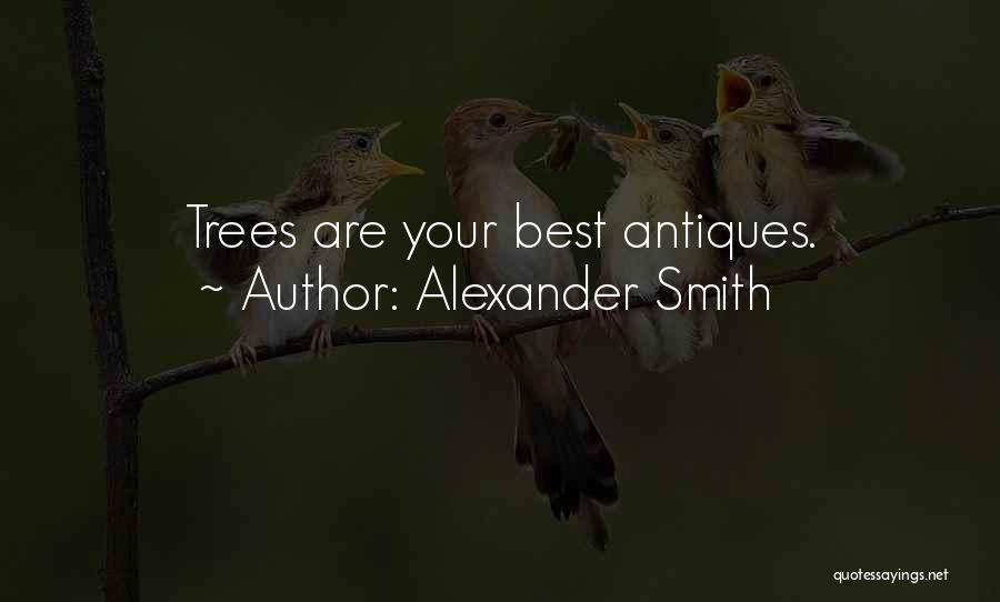 Alexander Smith Quotes: Trees Are Your Best Antiques.