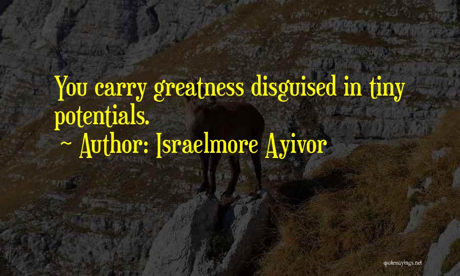 Israelmore Ayivor Quotes: You Carry Greatness Disguised In Tiny Potentials.