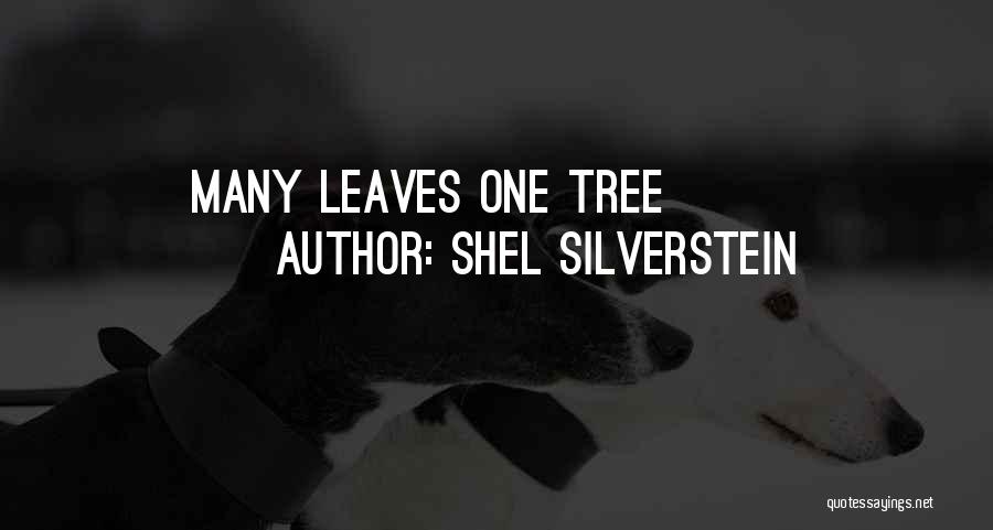 Shel Silverstein Quotes: Many Leaves One Tree