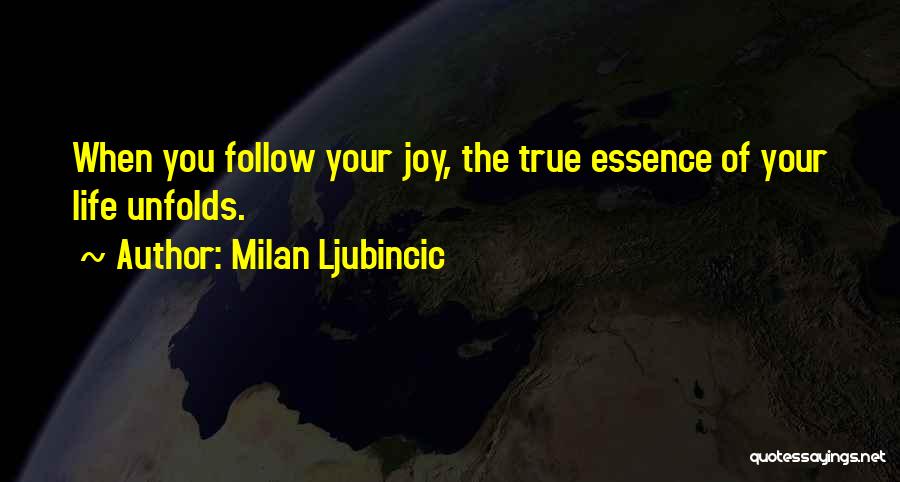 Milan Ljubincic Quotes: When You Follow Your Joy, The True Essence Of Your Life Unfolds.