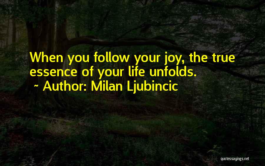 Milan Ljubincic Quotes: When You Follow Your Joy, The True Essence Of Your Life Unfolds.