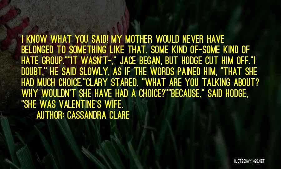 Cassandra Clare Quotes: I Know What You Said! My Mother Would Never Have Belonged To Something Like That. Some Kind Of-some Kind Of