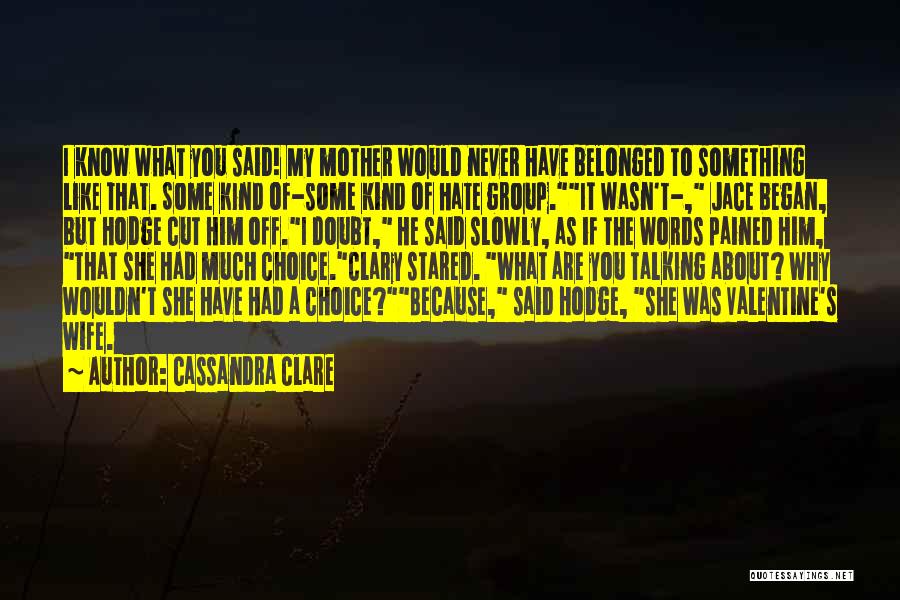 Cassandra Clare Quotes: I Know What You Said! My Mother Would Never Have Belonged To Something Like That. Some Kind Of-some Kind Of