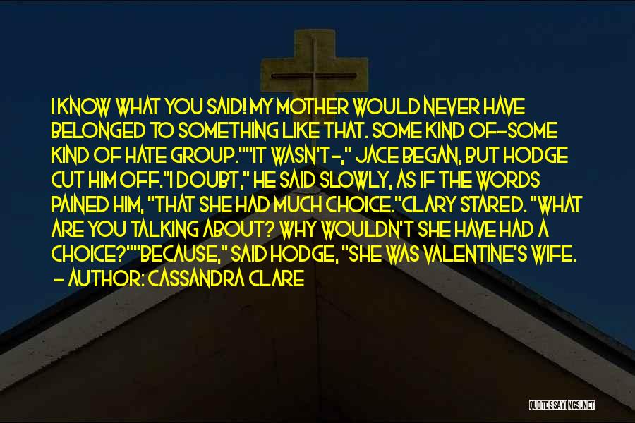 Cassandra Clare Quotes: I Know What You Said! My Mother Would Never Have Belonged To Something Like That. Some Kind Of-some Kind Of