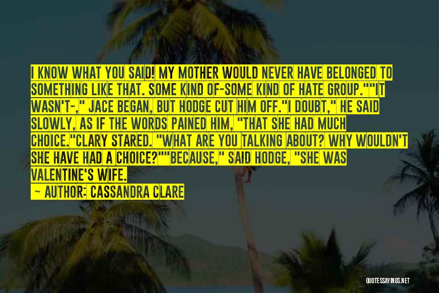 Cassandra Clare Quotes: I Know What You Said! My Mother Would Never Have Belonged To Something Like That. Some Kind Of-some Kind Of