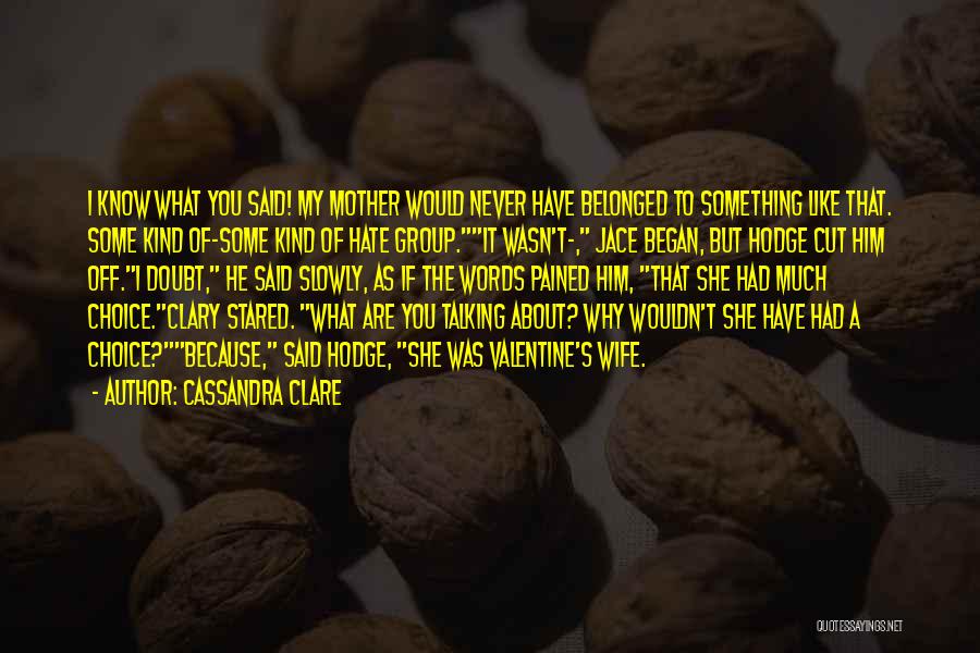 Cassandra Clare Quotes: I Know What You Said! My Mother Would Never Have Belonged To Something Like That. Some Kind Of-some Kind Of