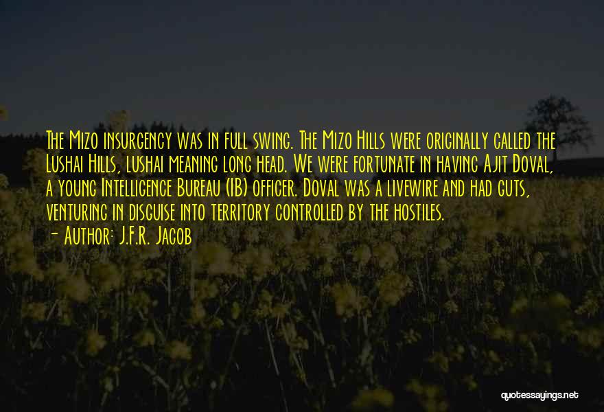 J.F.R. Jacob Quotes: The Mizo Insurgency Was In Full Swing. The Mizo Hills Were Originally Called The Lushai Hills, Lushai Meaning Long Head.