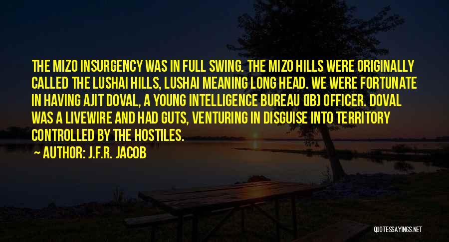 J.F.R. Jacob Quotes: The Mizo Insurgency Was In Full Swing. The Mizo Hills Were Originally Called The Lushai Hills, Lushai Meaning Long Head.