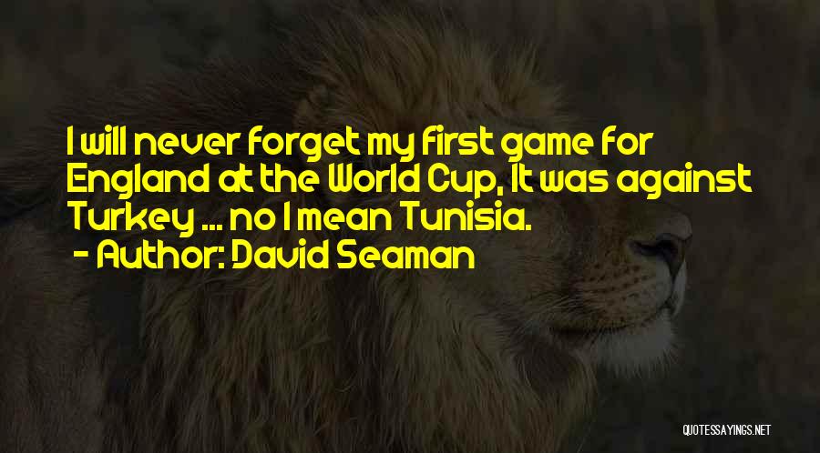 David Seaman Quotes: I Will Never Forget My First Game For England At The World Cup, It Was Against Turkey ... No I