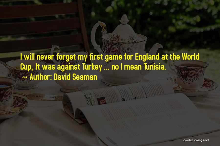 David Seaman Quotes: I Will Never Forget My First Game For England At The World Cup, It Was Against Turkey ... No I