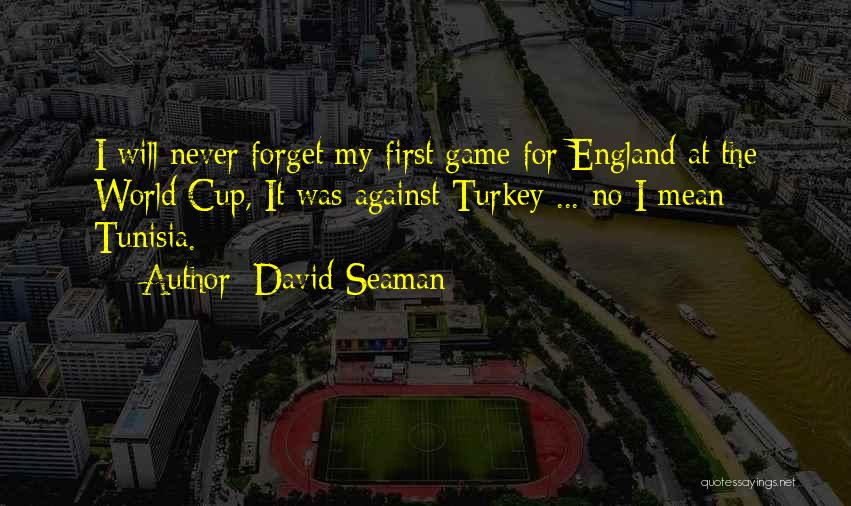 David Seaman Quotes: I Will Never Forget My First Game For England At The World Cup, It Was Against Turkey ... No I
