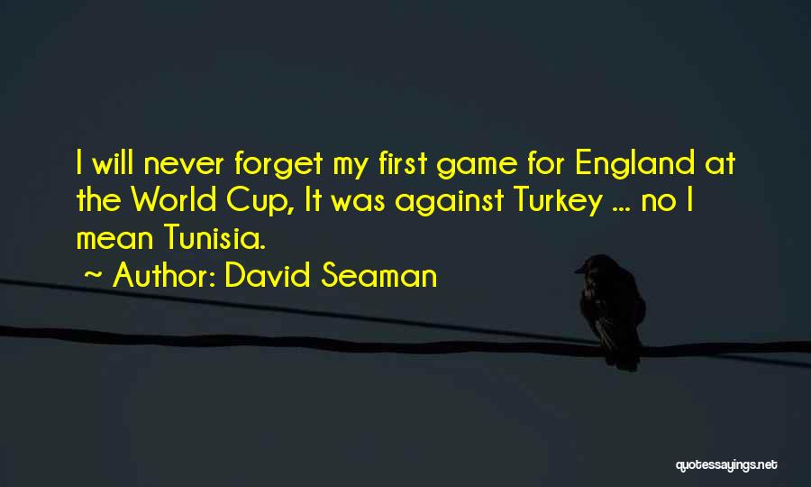 David Seaman Quotes: I Will Never Forget My First Game For England At The World Cup, It Was Against Turkey ... No I