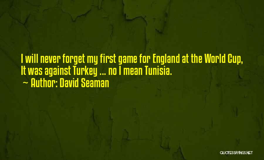 David Seaman Quotes: I Will Never Forget My First Game For England At The World Cup, It Was Against Turkey ... No I