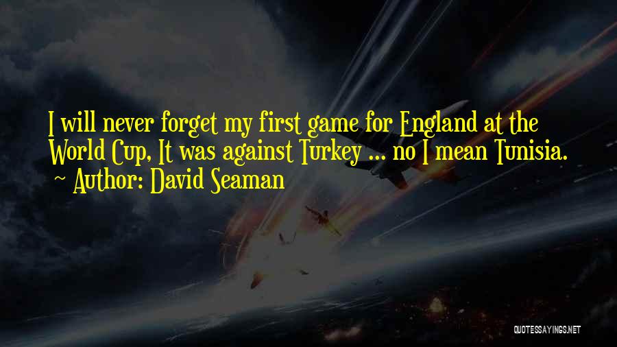 David Seaman Quotes: I Will Never Forget My First Game For England At The World Cup, It Was Against Turkey ... No I