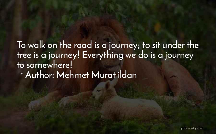 Mehmet Murat Ildan Quotes: To Walk On The Road Is A Journey; To Sit Under The Tree Is A Journey! Everything We Do Is
