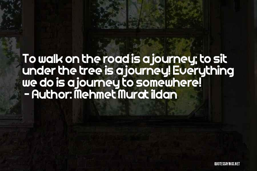 Mehmet Murat Ildan Quotes: To Walk On The Road Is A Journey; To Sit Under The Tree Is A Journey! Everything We Do Is