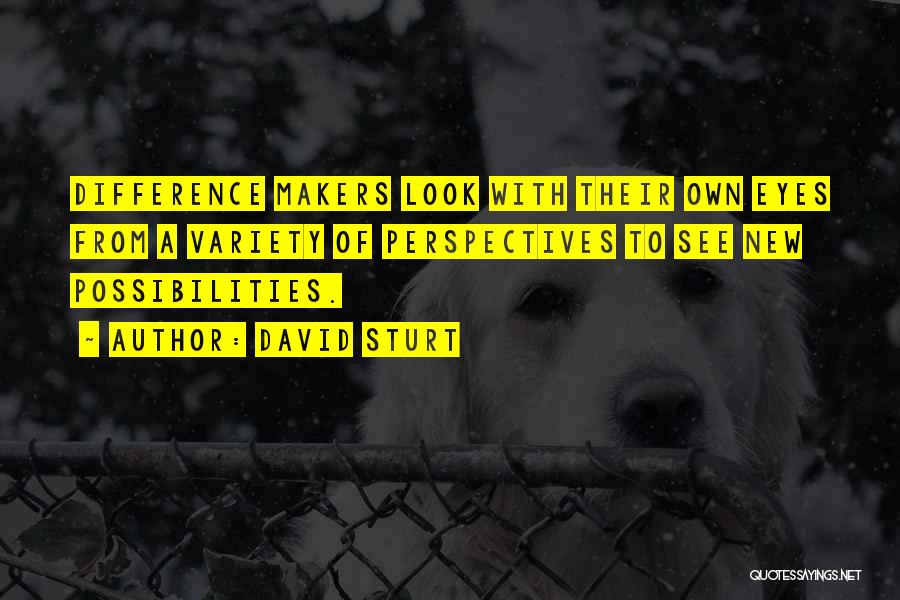 David Sturt Quotes: Difference Makers Look With Their Own Eyes From A Variety Of Perspectives To See New Possibilities.