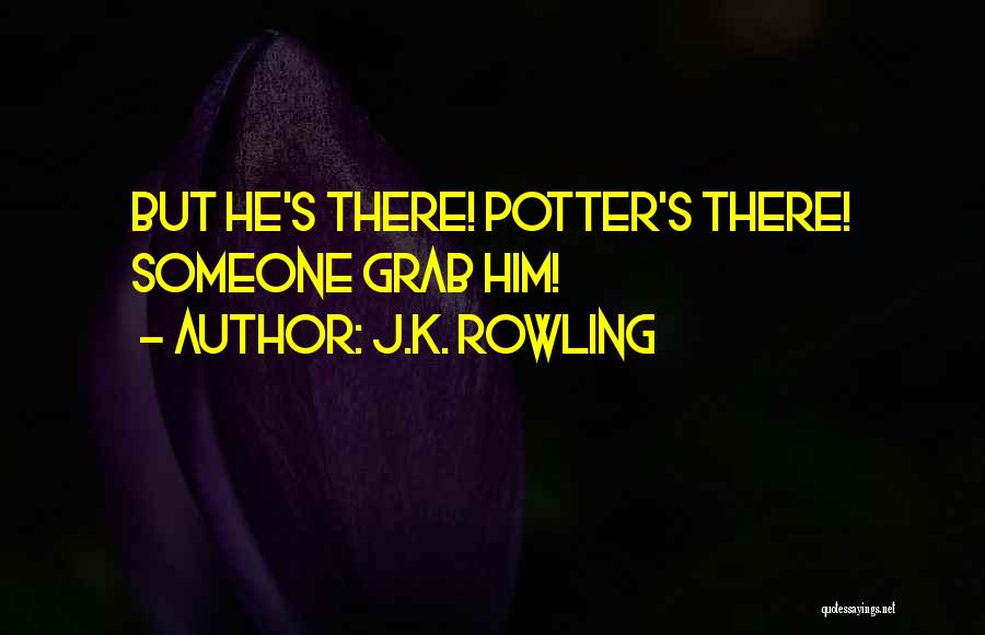 J.K. Rowling Quotes: But He's There! Potter's There! Someone Grab Him!