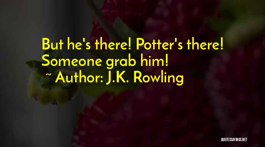 J.K. Rowling Quotes: But He's There! Potter's There! Someone Grab Him!