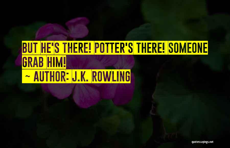 J.K. Rowling Quotes: But He's There! Potter's There! Someone Grab Him!