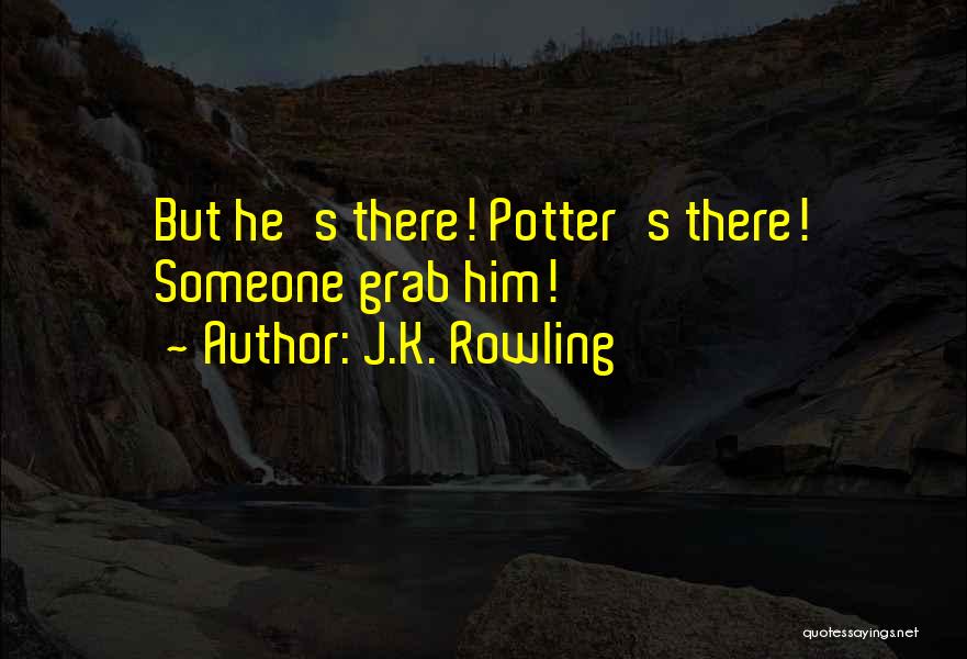 J.K. Rowling Quotes: But He's There! Potter's There! Someone Grab Him!