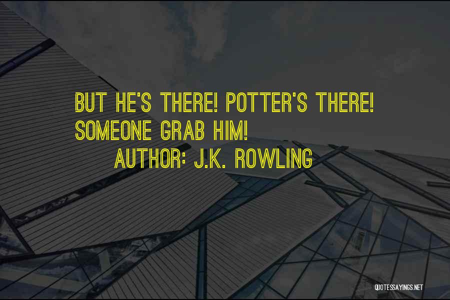 J.K. Rowling Quotes: But He's There! Potter's There! Someone Grab Him!