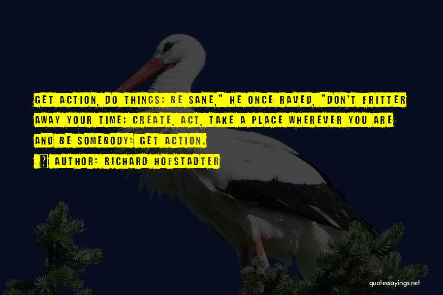 Richard Hofstadter Quotes: Get Action, Do Things; Be Sane, He Once Raved, Don't Fritter Away Your Time; Create, Act, Take A Place Wherever