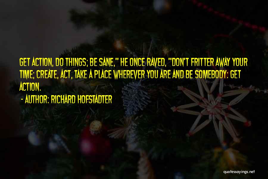 Richard Hofstadter Quotes: Get Action, Do Things; Be Sane, He Once Raved, Don't Fritter Away Your Time; Create, Act, Take A Place Wherever