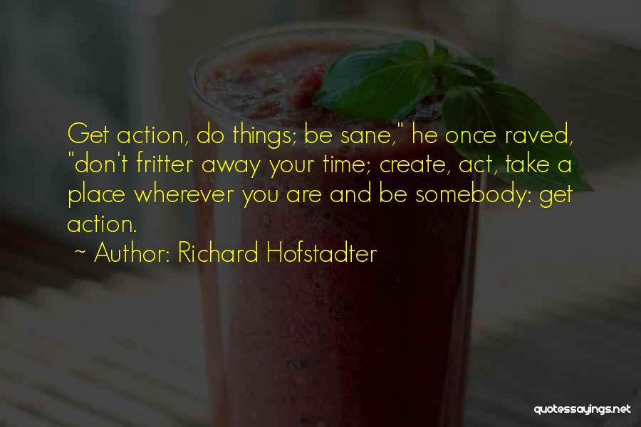 Richard Hofstadter Quotes: Get Action, Do Things; Be Sane, He Once Raved, Don't Fritter Away Your Time; Create, Act, Take A Place Wherever