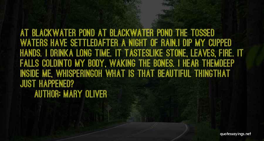 Mary Oliver Quotes: At Blackwater Pond At Blackwater Pond The Tossed Waters Have Settledafter A Night Of Rain.i Dip My Cupped Hands. I