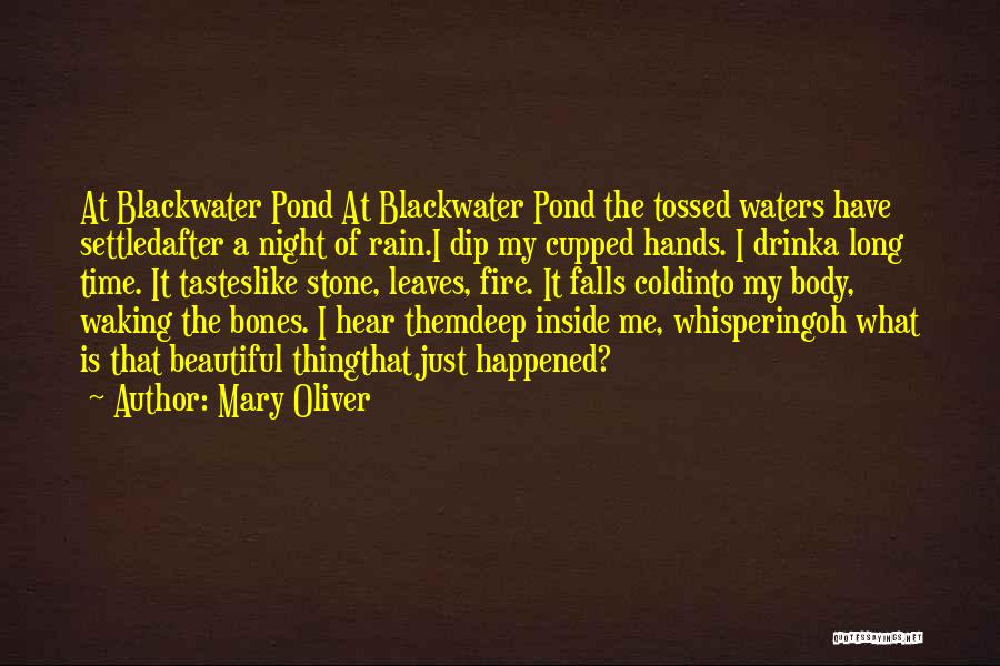 Mary Oliver Quotes: At Blackwater Pond At Blackwater Pond The Tossed Waters Have Settledafter A Night Of Rain.i Dip My Cupped Hands. I