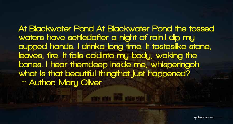 Mary Oliver Quotes: At Blackwater Pond At Blackwater Pond The Tossed Waters Have Settledafter A Night Of Rain.i Dip My Cupped Hands. I