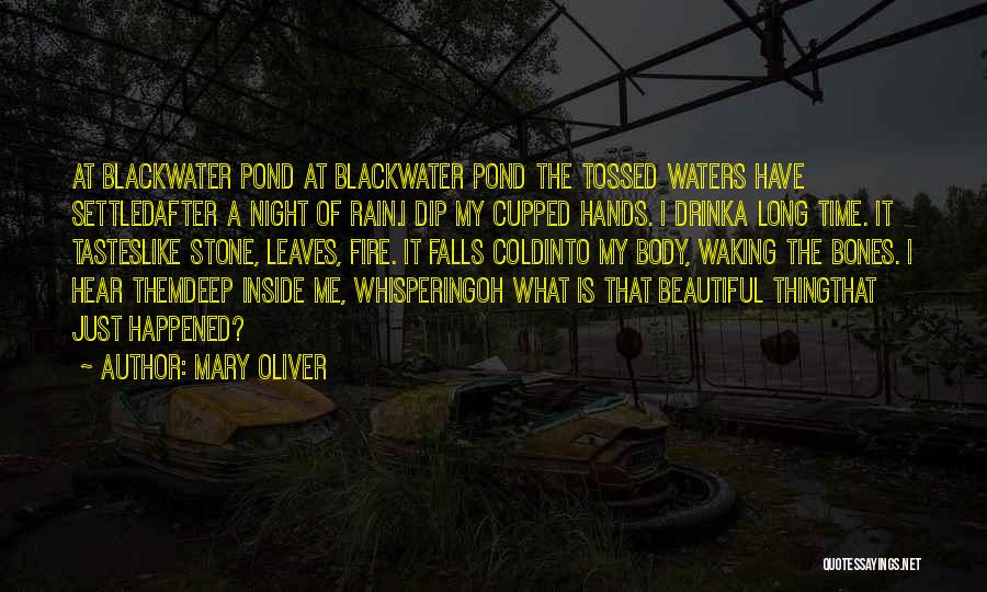 Mary Oliver Quotes: At Blackwater Pond At Blackwater Pond The Tossed Waters Have Settledafter A Night Of Rain.i Dip My Cupped Hands. I