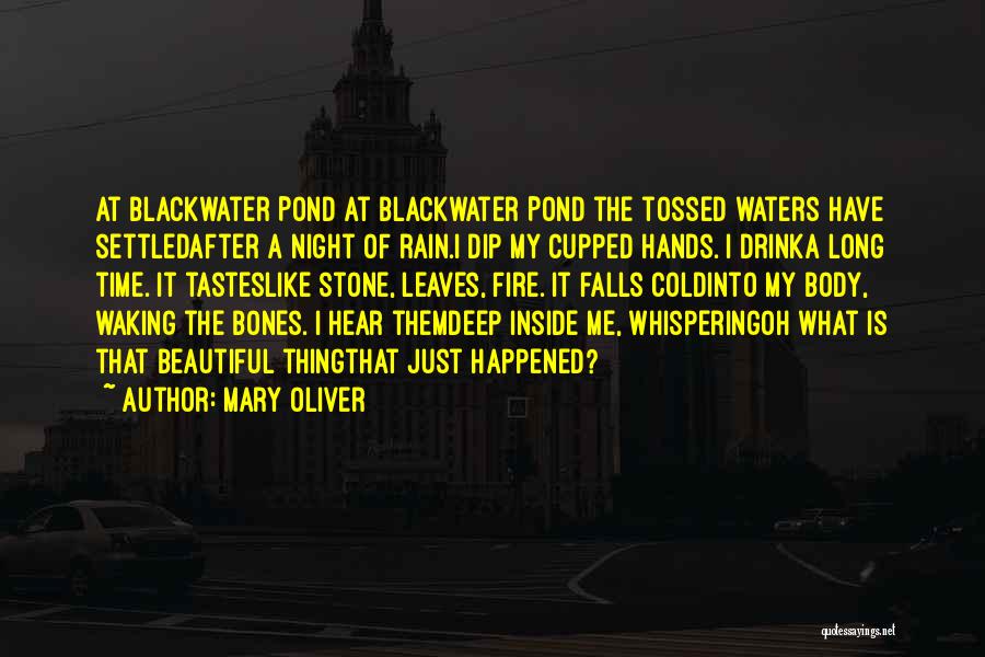 Mary Oliver Quotes: At Blackwater Pond At Blackwater Pond The Tossed Waters Have Settledafter A Night Of Rain.i Dip My Cupped Hands. I