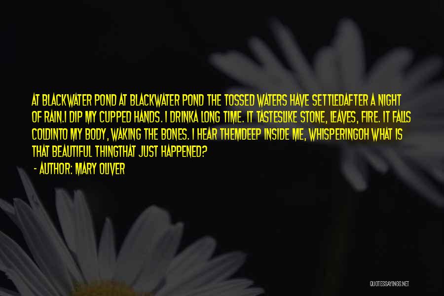 Mary Oliver Quotes: At Blackwater Pond At Blackwater Pond The Tossed Waters Have Settledafter A Night Of Rain.i Dip My Cupped Hands. I