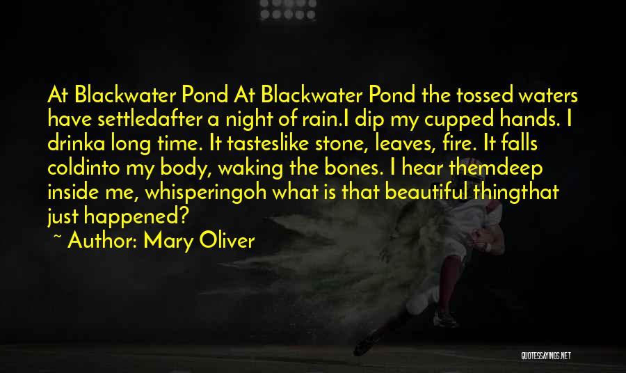 Mary Oliver Quotes: At Blackwater Pond At Blackwater Pond The Tossed Waters Have Settledafter A Night Of Rain.i Dip My Cupped Hands. I