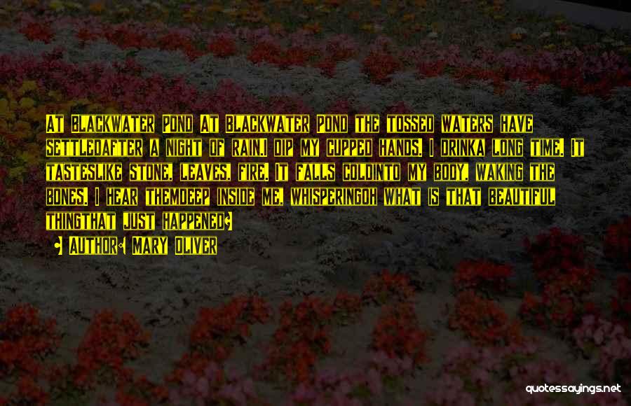 Mary Oliver Quotes: At Blackwater Pond At Blackwater Pond The Tossed Waters Have Settledafter A Night Of Rain.i Dip My Cupped Hands. I