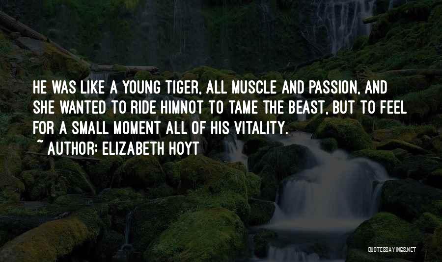 Elizabeth Hoyt Quotes: He Was Like A Young Tiger, All Muscle And Passion, And She Wanted To Ride Himnot To Tame The Beast,