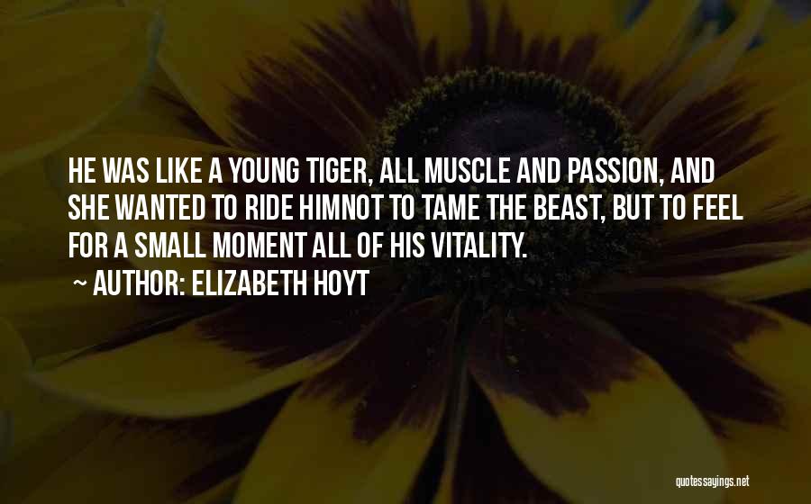 Elizabeth Hoyt Quotes: He Was Like A Young Tiger, All Muscle And Passion, And She Wanted To Ride Himnot To Tame The Beast,