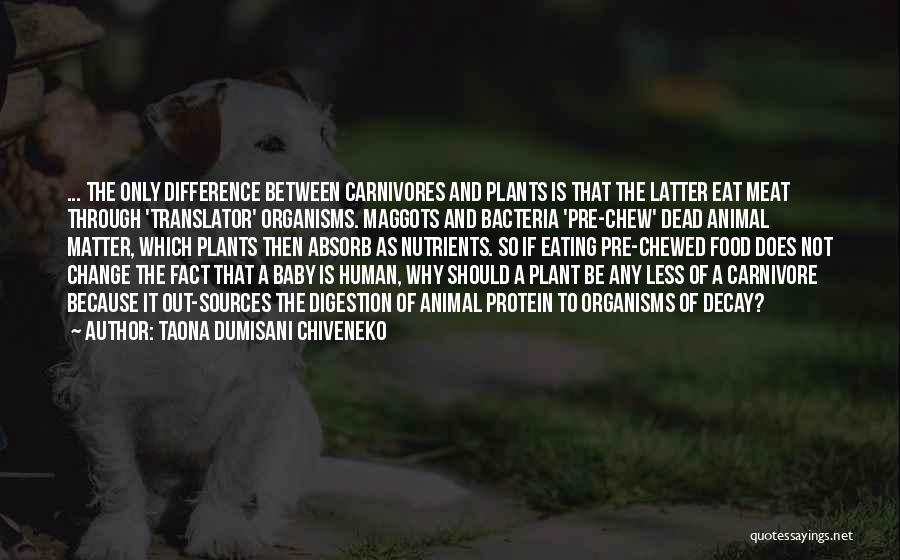 Taona Dumisani Chiveneko Quotes: ... The Only Difference Between Carnivores And Plants Is That The Latter Eat Meat Through 'translator' Organisms. Maggots And Bacteria