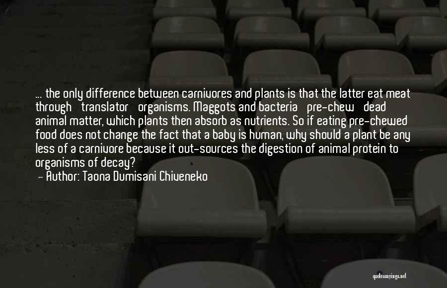 Taona Dumisani Chiveneko Quotes: ... The Only Difference Between Carnivores And Plants Is That The Latter Eat Meat Through 'translator' Organisms. Maggots And Bacteria