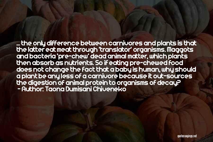 Taona Dumisani Chiveneko Quotes: ... The Only Difference Between Carnivores And Plants Is That The Latter Eat Meat Through 'translator' Organisms. Maggots And Bacteria