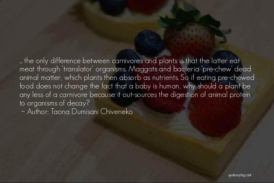 Taona Dumisani Chiveneko Quotes: ... The Only Difference Between Carnivores And Plants Is That The Latter Eat Meat Through 'translator' Organisms. Maggots And Bacteria