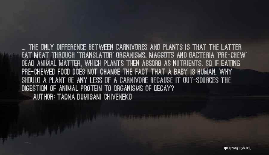 Taona Dumisani Chiveneko Quotes: ... The Only Difference Between Carnivores And Plants Is That The Latter Eat Meat Through 'translator' Organisms. Maggots And Bacteria