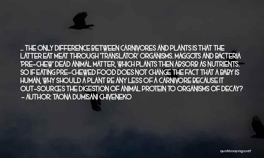 Taona Dumisani Chiveneko Quotes: ... The Only Difference Between Carnivores And Plants Is That The Latter Eat Meat Through 'translator' Organisms. Maggots And Bacteria