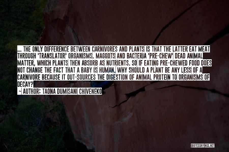 Taona Dumisani Chiveneko Quotes: ... The Only Difference Between Carnivores And Plants Is That The Latter Eat Meat Through 'translator' Organisms. Maggots And Bacteria